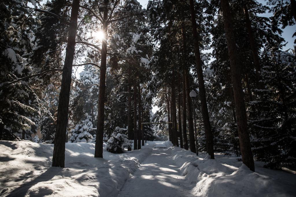 Alpen Ville الماتي المظهر الخارجي الصورة