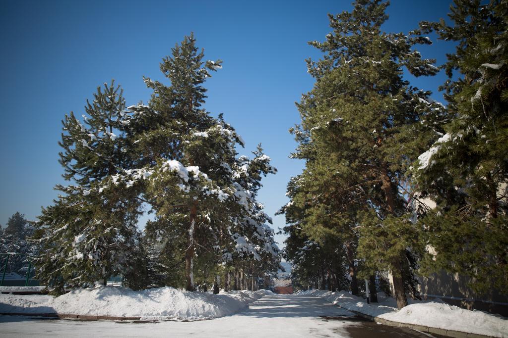 Alpen Ville الماتي المظهر الخارجي الصورة